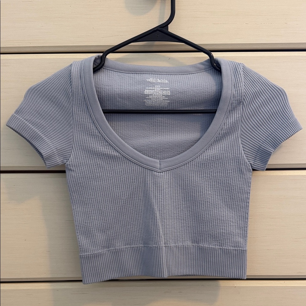 Wild Fable Light Gray Ribbed Crop Top